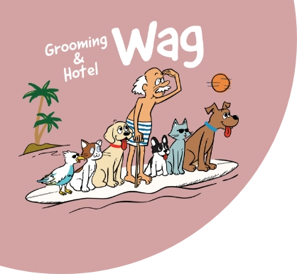 Grooming&Hotel Wag