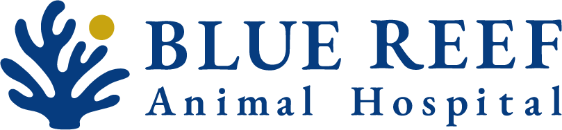 BLUE REEF Animal Hospital ペット病院
